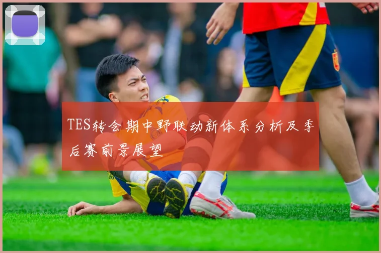 TES转会期中野联动新体系分析及季后赛前景展望